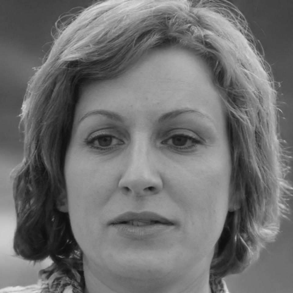 Instructora de modelización financiera